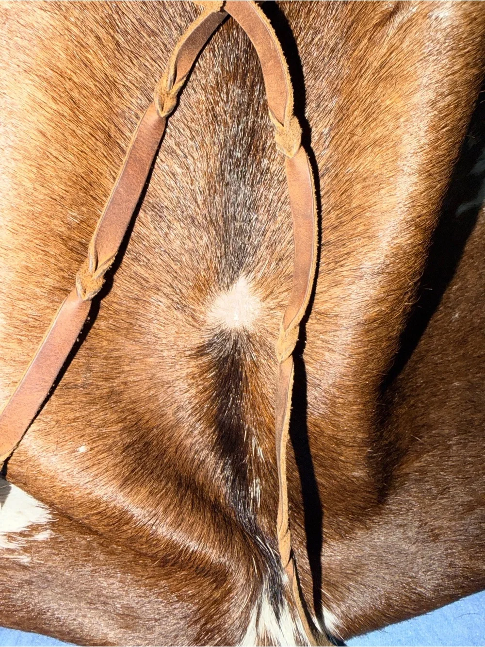 Gypsy Belt Co - Cowhide and Leather Nikki Purse